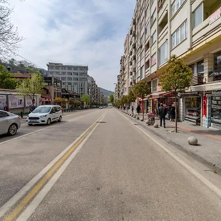 Altiparmak 4 Bedroom Apartment Bursa